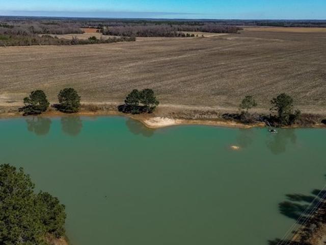 Land for sale in Dawson, Georgia
