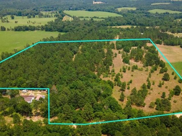Land for sale in Wagener