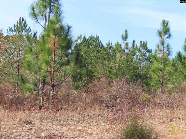 Land for sale in Wagener