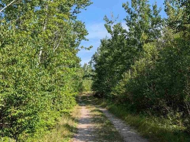 Land for sale in Cook, Minnesota