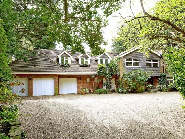 House for rent in Sunninghill and Ascot, Ascot