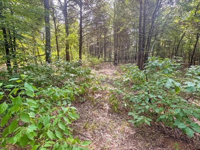 Land for sale in Ark