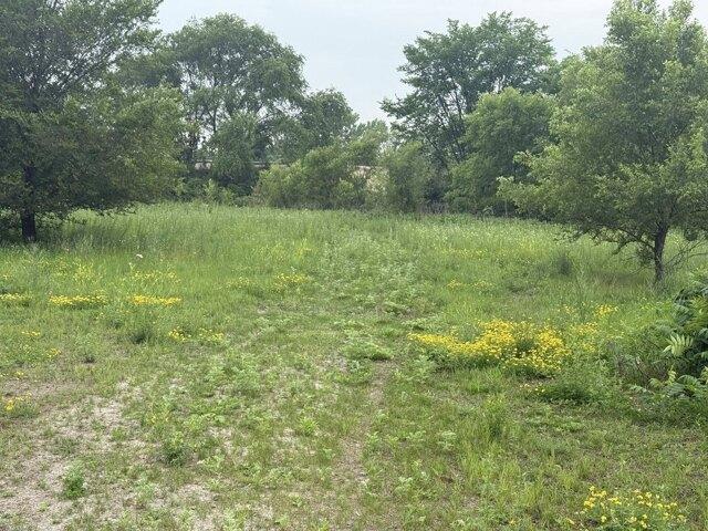 Land for sale in Lakeville Land for sale in Lakeville