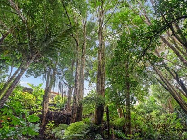 House for rent in Whangarei, Northland