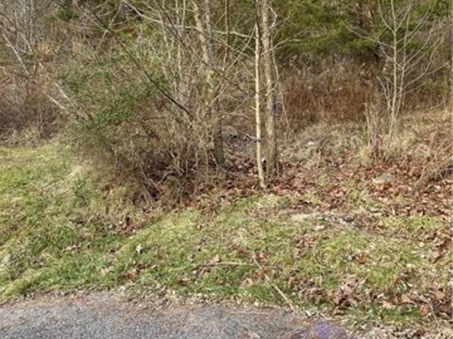 Land for sale in West Virginia