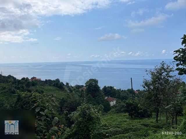 Çayeli, Rize içerisinde satılık Arsa