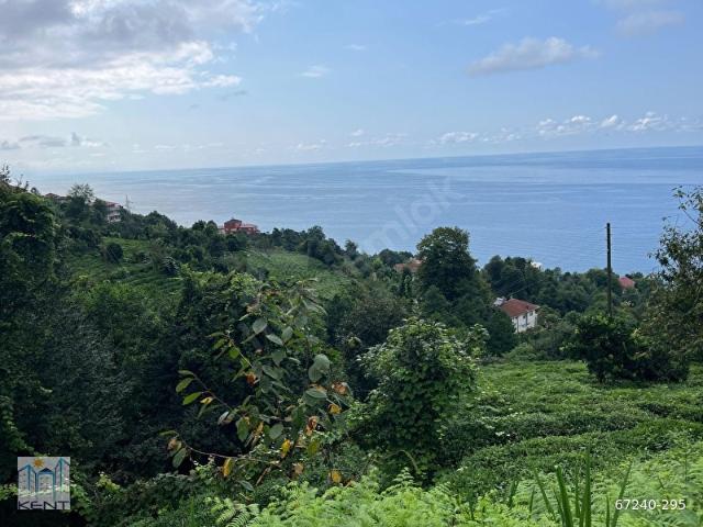 Çayeli, Rize içerisinde satılık Arsa