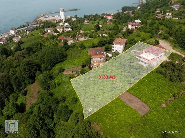 Çayeli, Rize içerisinde satılık Dükkan