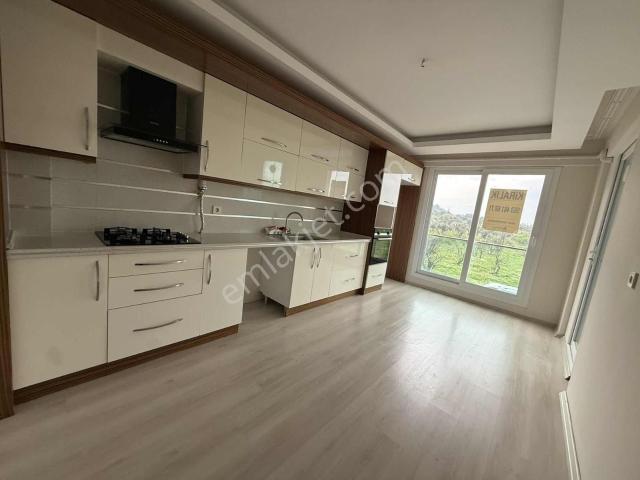 Tire, İzmir içerisinde kiralık mülk