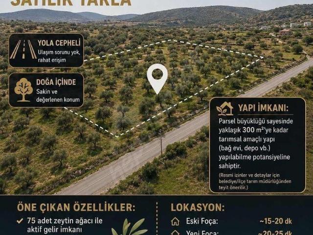 Foça, İzmir içerisinde satılık mülk