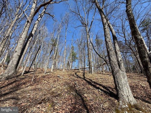 Land for sale in Berkeley Springs, West Virginia