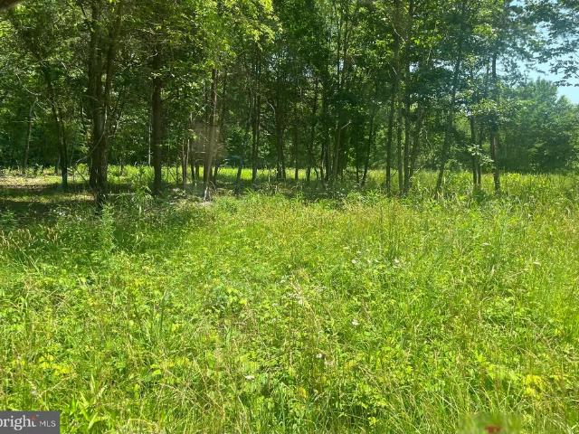 Land for sale in Virginia