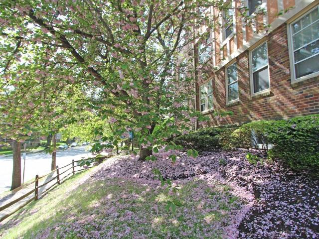 Apartment for rent in Philadelphia, Pennsylvania