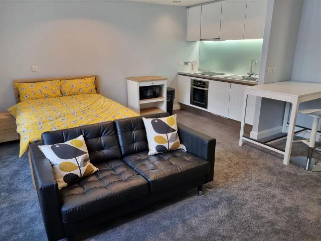 Studio for rent in Waterfront, Calderstones