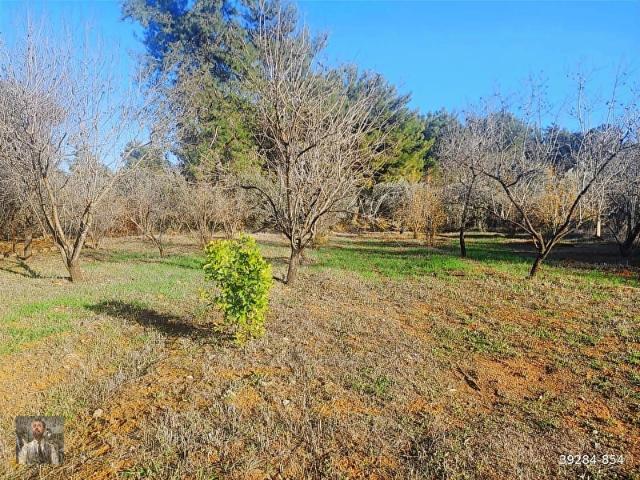Kepez, Antalya içerisinde satılık Arsa
