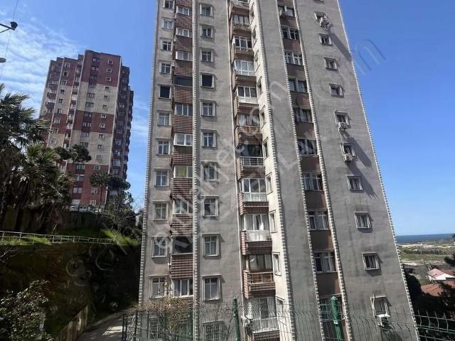 Ereğli, Zonguldak içerisinde kiralık mülk