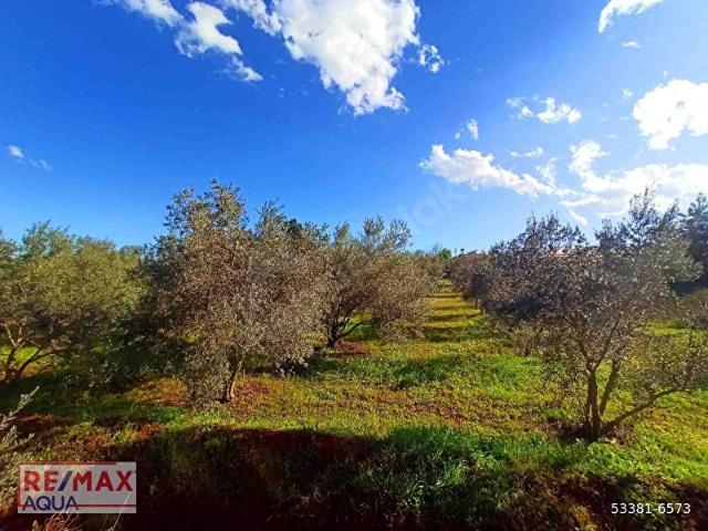 Kepez, Antalya içerisinde satılık Arsa