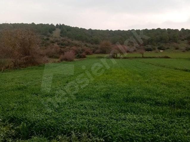 Akçaköy, Kepsut içerisinde satılık Arsa