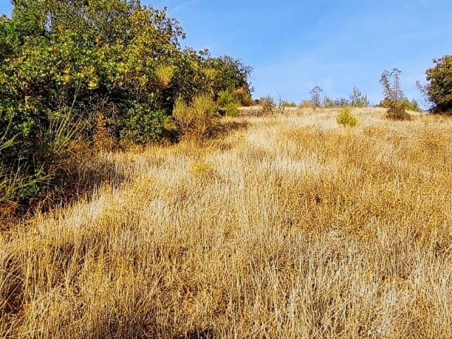 Mestanlar, Kepsut içerisinde satılık mülk