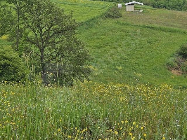Kandira, Kocaeli içerisinde satılık Arsa