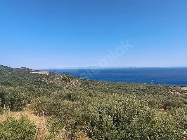 Kozlu, Ayvacık içerisinde satılık mülk