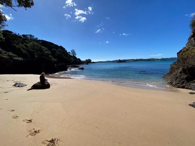 House for rent in Karetu, Northland