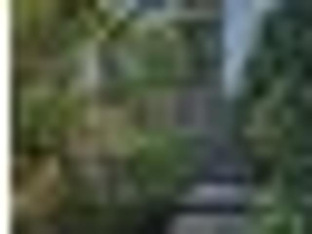 Apartment for rent in Karetu, Northland