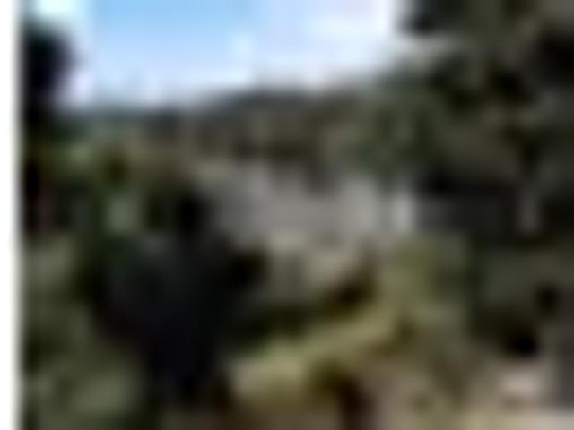 Apartment for rent in Karetu, Northland
