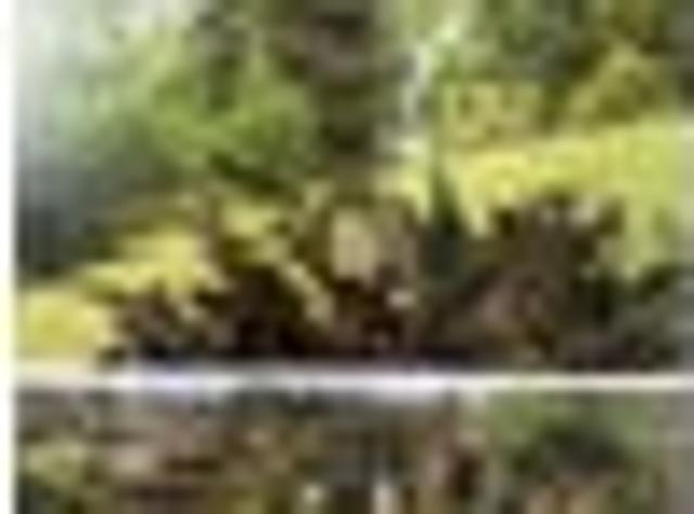 House for rent in Karetu, Northland