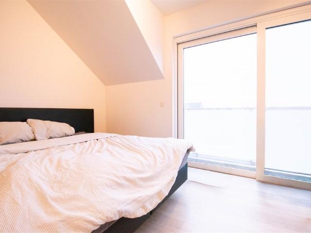 Appartement location à Sint-gillis-waas, Oost-Vlaanderen
