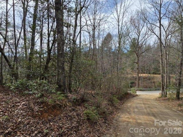 Land for sale in Old Fort, North Carolina