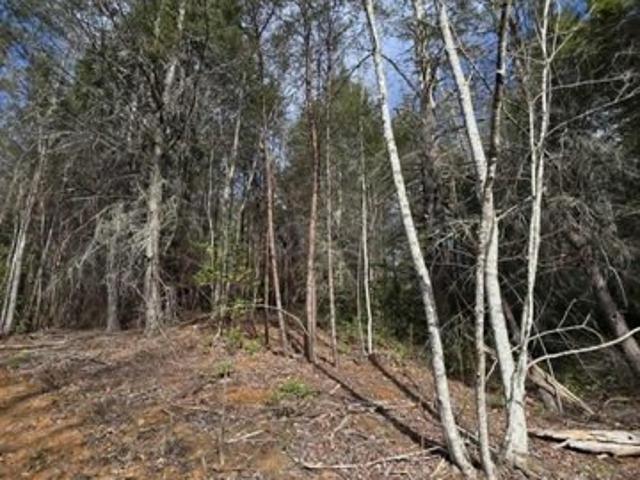 Land for sale in Old Fort, North Carolina