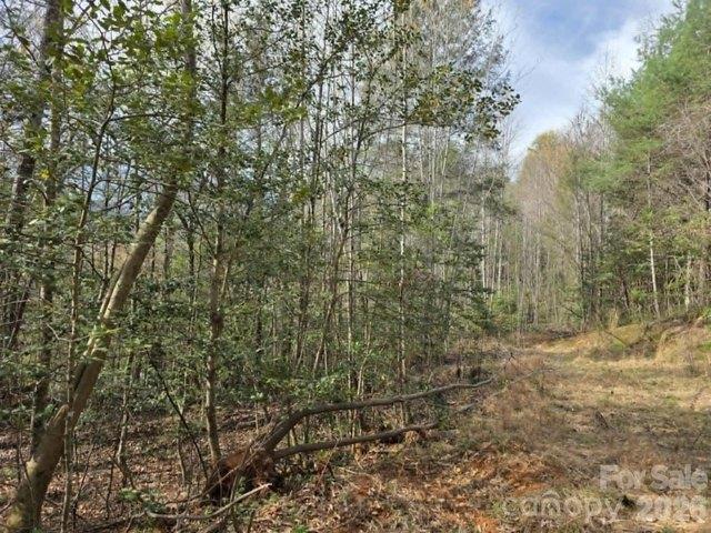 Land for sale in Old Fort, North Carolina
