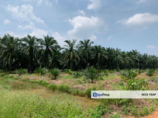 Warehouse for sale in Kerling, Selangor
