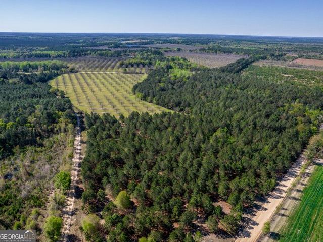 Land for sale in Cobbtown, Georgia
