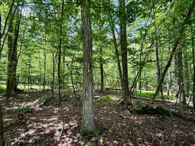 Land for sale in Accord, New York