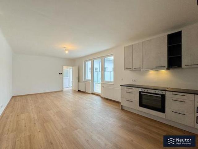 Wohnung mieten in Groß-Enzersdorf, Niederösterreich