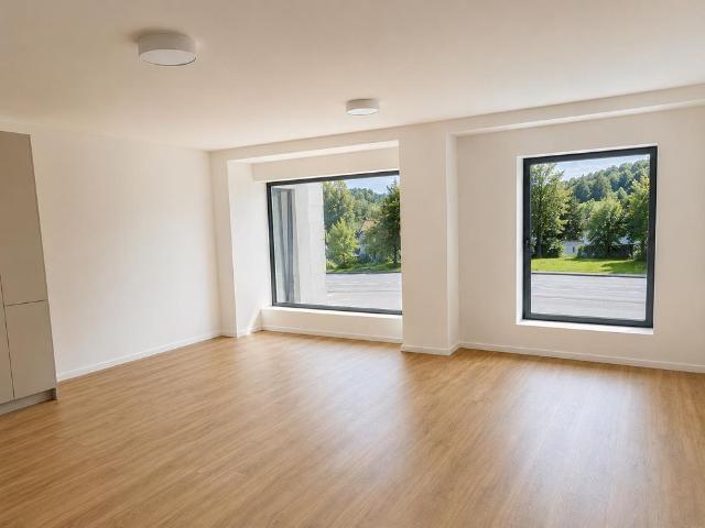 Apartment mieten in Benzenrüti, Heiden