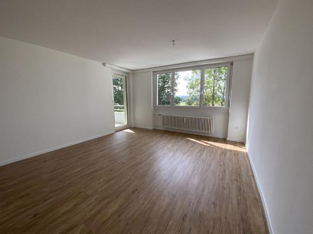 Apartment mieten in Im Pünt, Hefenhofen