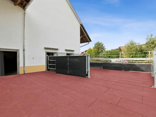 Wohnung kaufen in Bözen, Aargau