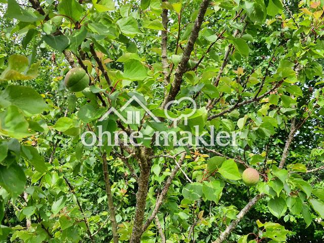 Haus kaufen in Nordholz, Niedersachsen