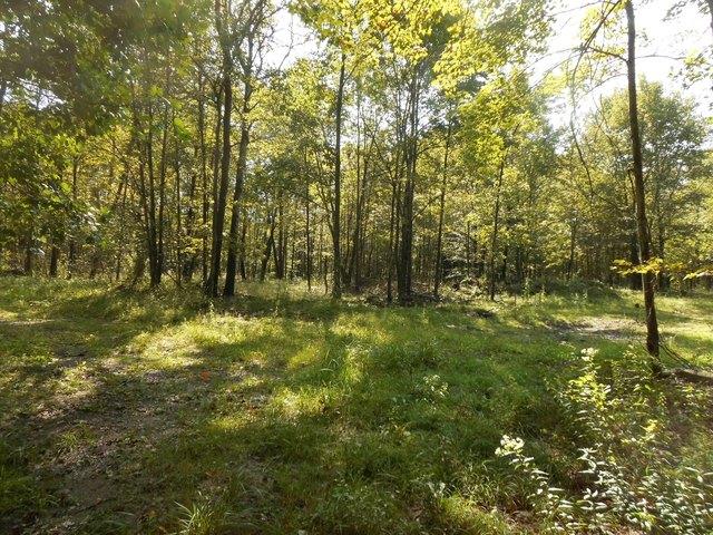 Land for sale in Brockway, Pennsylvania