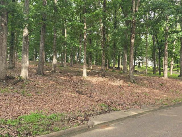 Land for sale in Ark