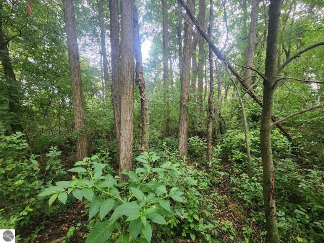 Land for sale in Michigan