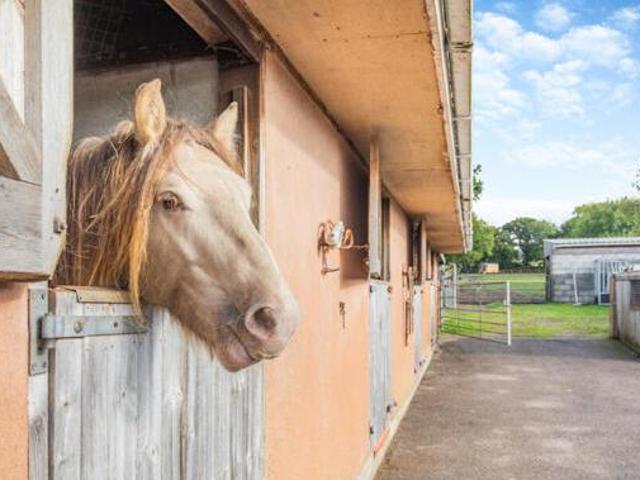House for sale in Newton St Cyres, Devon