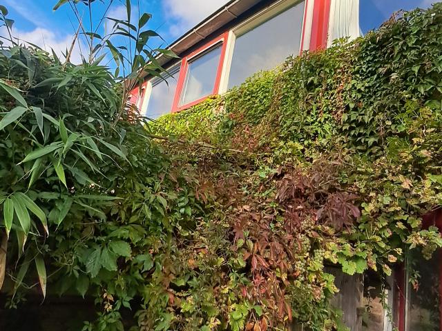 Woning te huur in De Rekere, Bergen