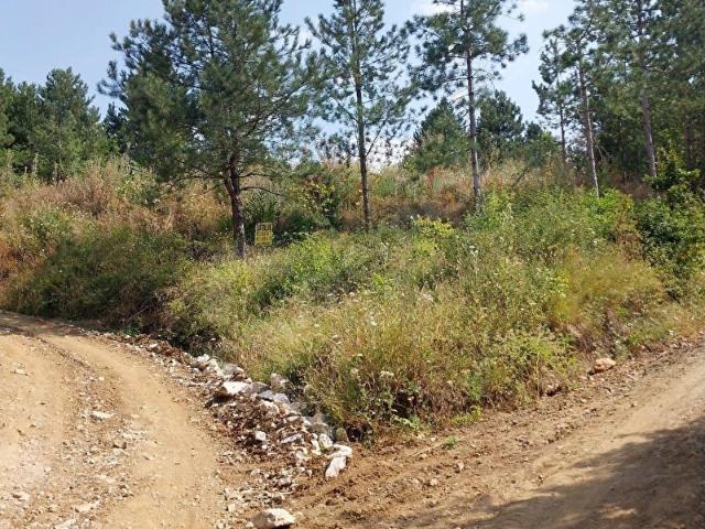 Bursa içerisinde satılık Arsa