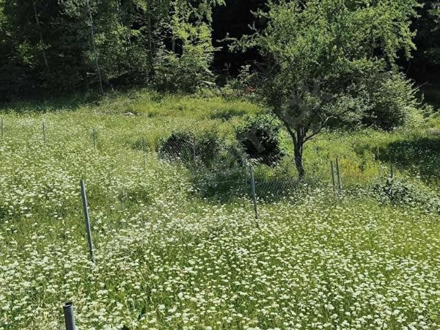 Bursa içerisinde satılık Arsa