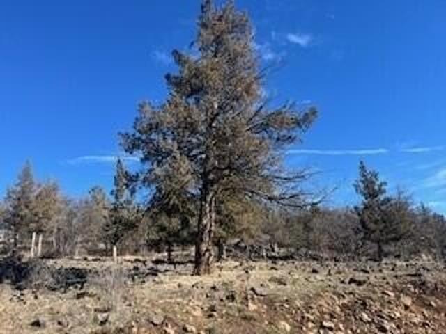 Land for sale in Oregonia