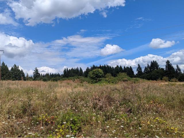 Land for sale in Oregonia